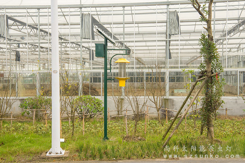 溫室大棚太陽能殺蟲燈 溫室大棚太陽能殺蟲燈