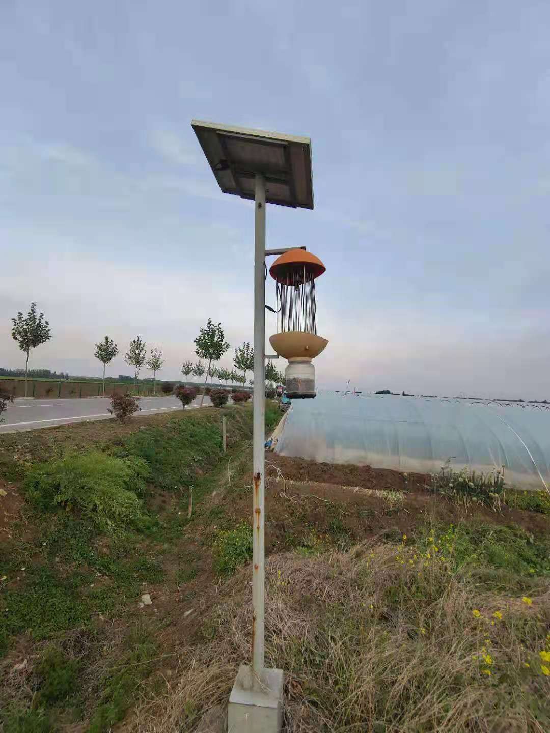 山東田間殺蟲燈圖片，生銹的太陽能殺蟲燈