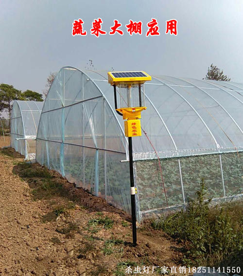 山東太陽能農田殺蟲燈實拍，田間殺蟲燈圖片
