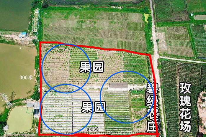 殺蟲燈安裝在果園什么位置好