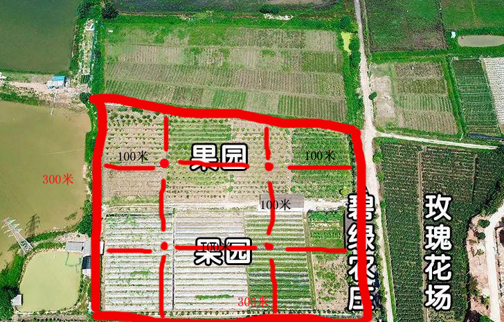 殺蟲燈安裝在果園什么位置好