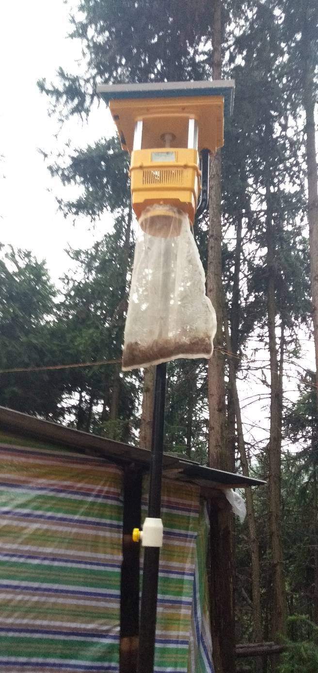 葡萄果園使用風(fēng)吸式太陽(yáng)能殺蟲(chóng)燈 葡萄果園使用風(fēng)吸式太陽(yáng)能殺蟲(chóng)燈