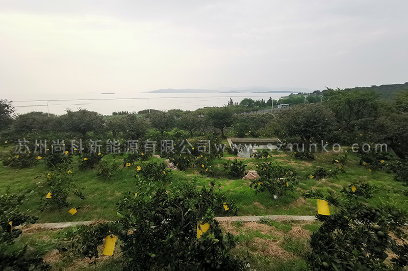 蘇州太陽能殺蟲燈黃板使用效果