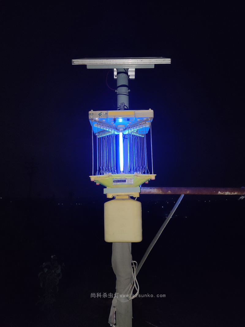 太陽能殺蟲燈在果園用了3年照樣工作