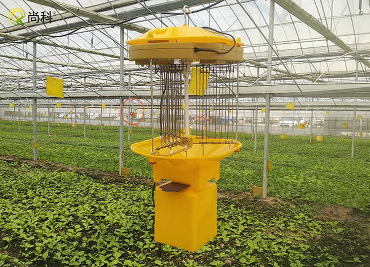 LED殺蟲燈的防護范圍？有效防護害蟲的范圍