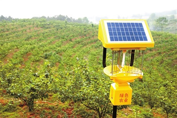 茶園殺蟲燈能殺什么蟲？？茶園殺蟲燈的有效性分析