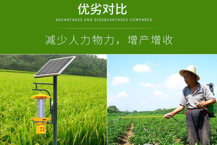 太陽能殺蟲燈多少畝一臺，節能環保的殺蟲燈應用