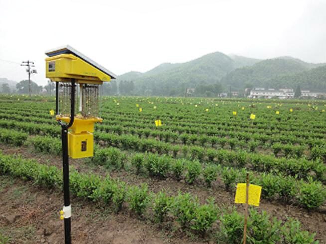 太陽能殺蟲燈分類及其特點，太陽能殺蟲燈的種類及應用