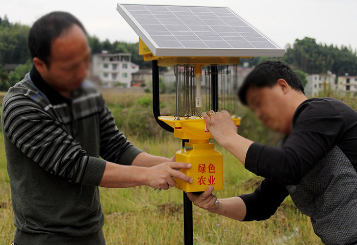 智能殺蟲燈太陽不能用？可能是這些原因！