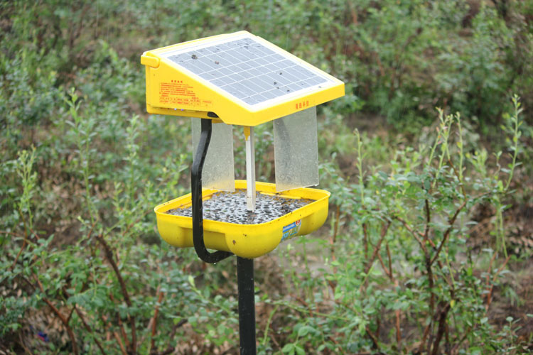 風吸式殺蟲燈的要點有哪些