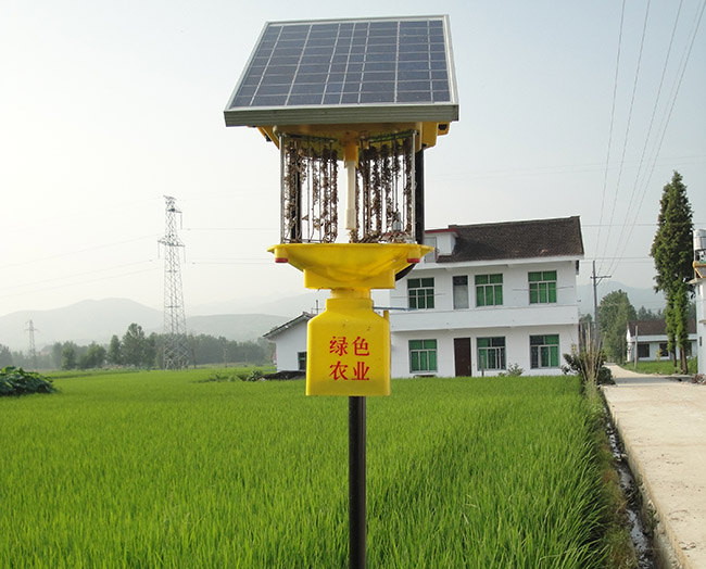 景觀頻振式太陽能殺蟲燈作用明顯嗎
