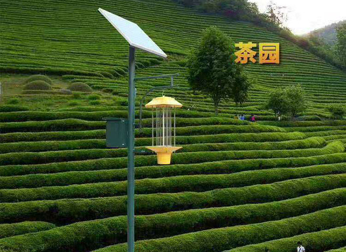 風吸式太陽能殺蟲燈安裝方案