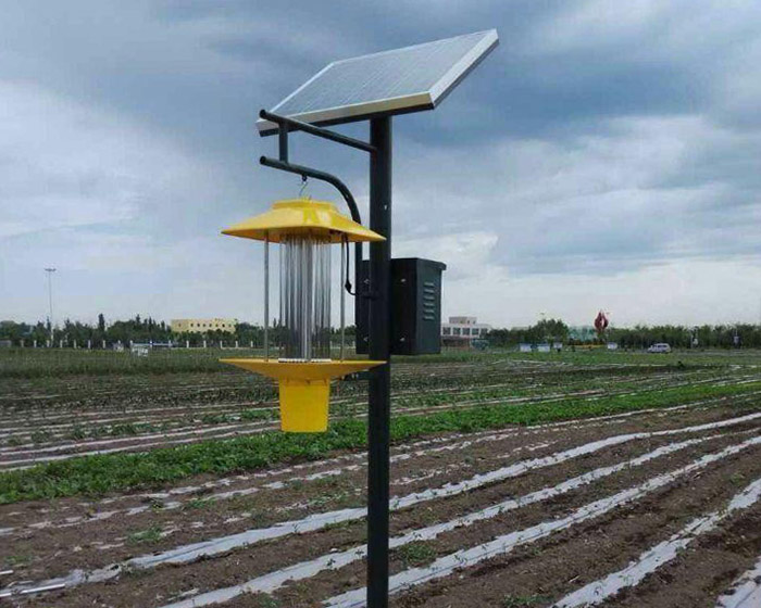 景觀式殺蟲燈優點有哪些