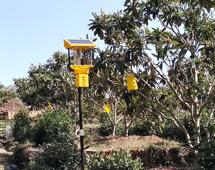 柑橘太陽能殺蟲燈的原理和作用解讀