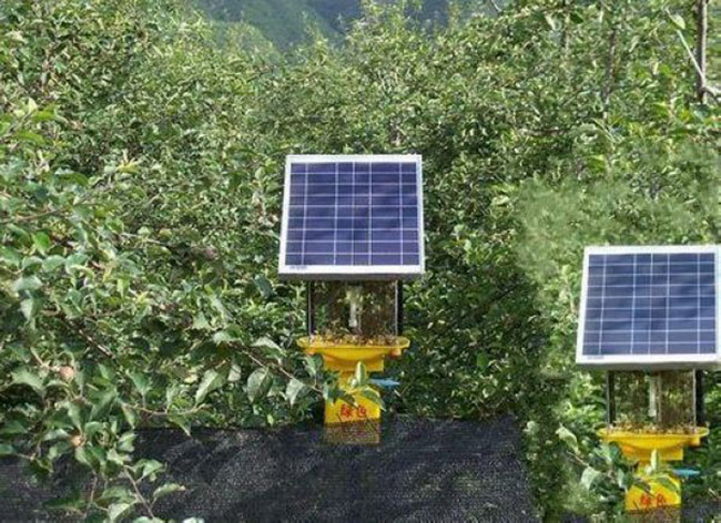 太陽能殺蟲燈正確安裝方法&使用殺蟲燈的注意事項