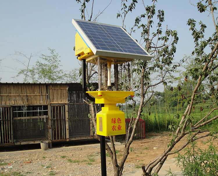 庭院太陽能風吸式殺蟲燈的使用，這些要素必看！