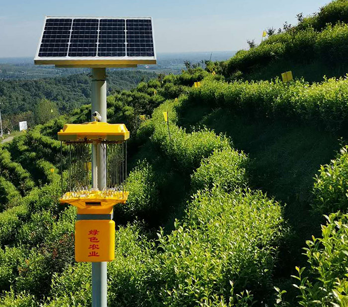 立桿式太陽能殺蟲燈施工方案及流程詳解
