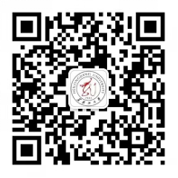 黑龍江4 黑龍江4